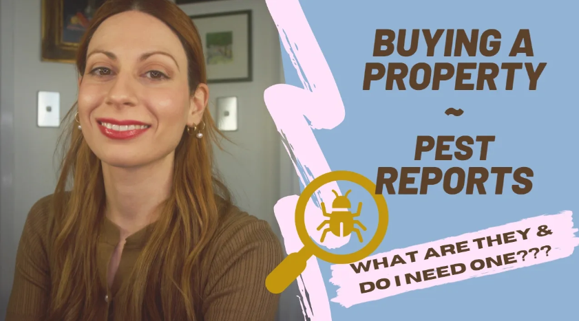 Pest Reports – What Are They & Do You Need One?